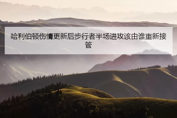 ha-li-bo-dun-shang-qing-geng-xin-hou-bu-xing-zhe-ban-chang-jin-gong-gai-you-shui-chong-xin-jie-guan-2-602.jpg