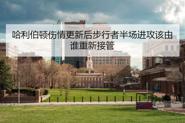 哈利伯顿伤情更新后步行者半场进攻该由谁重新接管