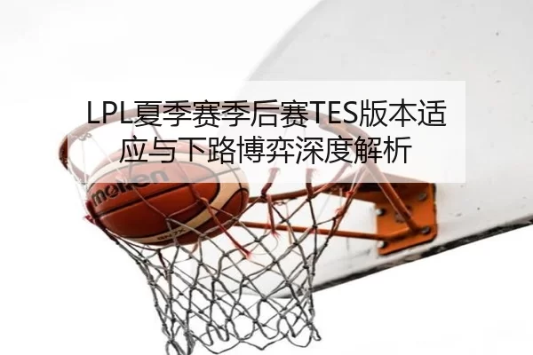 LPL夏季赛季后赛TES版本适应与下路博弈深度解析